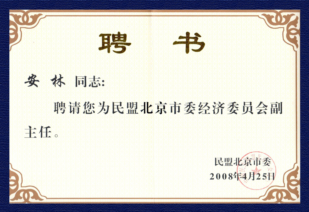 2008民盟北京市經委副主任